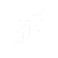 picto-structure